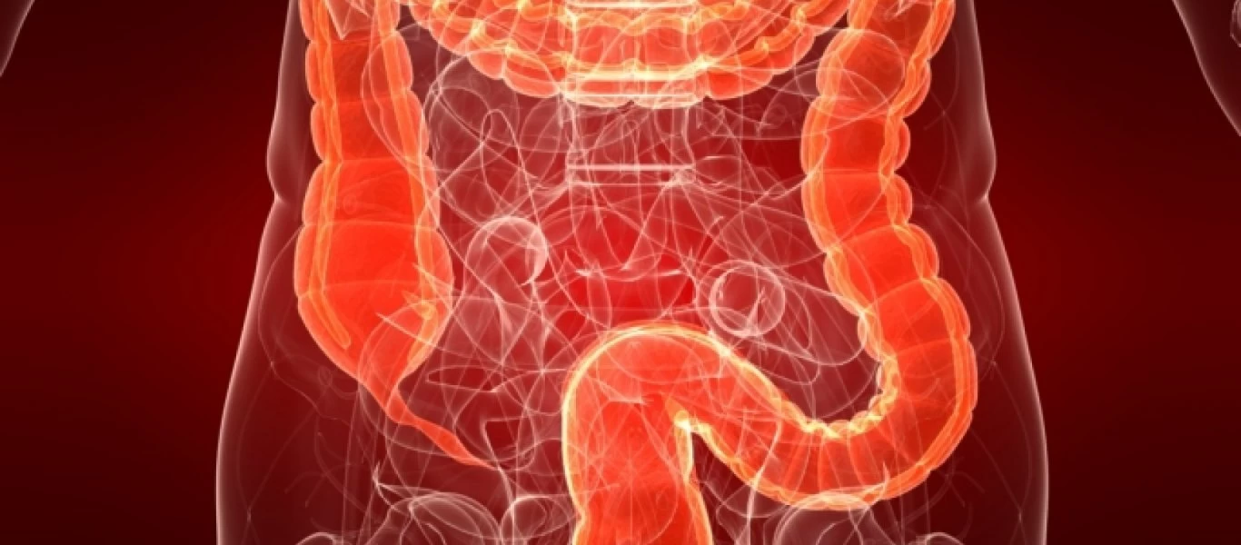 Παράσιτα στο έντερο: Προσοχή σε αυτά τα δέκα σημάδια που δείχνουν μόλυνση